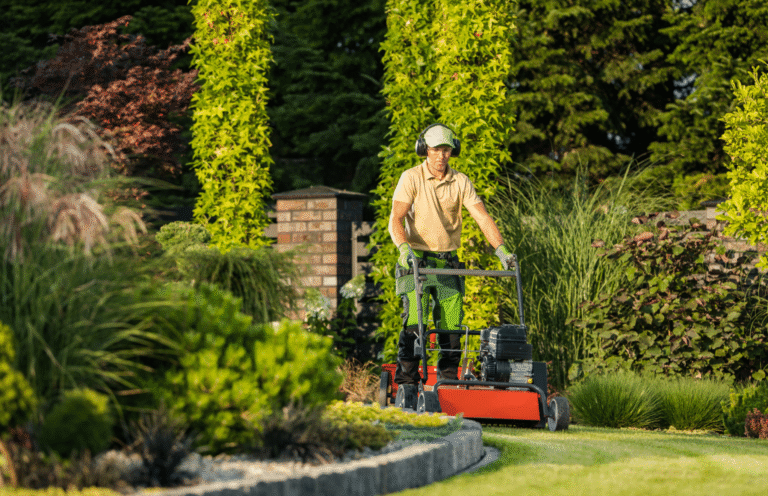 Finding the Best Landscaping Near You: Enhancing Your Local Landscape with Quality Services 5 Blog Images 4 notjustproduct.com